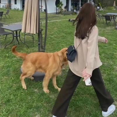 4月的东京…